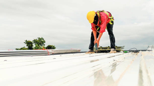 Best Solar Panel Roofing Installation  in Nashville, MI