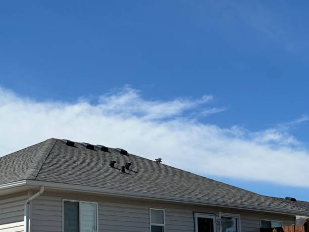 Best Rubber Roofing (EPDM, TPO)  in Nashville, MI