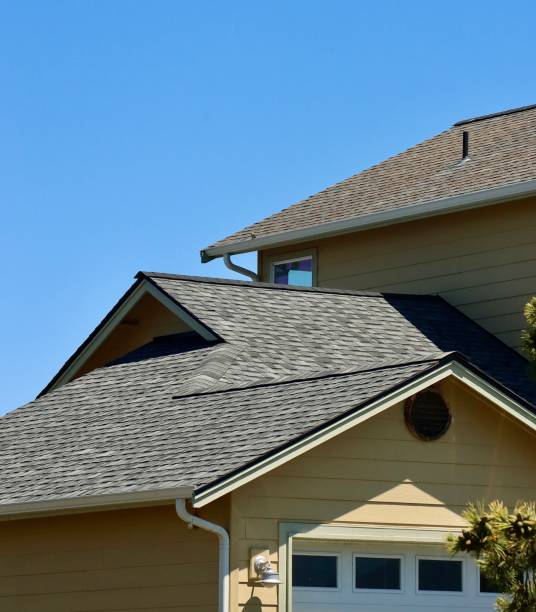 Best Hot Roofs  in Nashville, MI